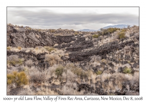 1000+ year old Lava Flow