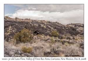 1000+ year old Lava Flow