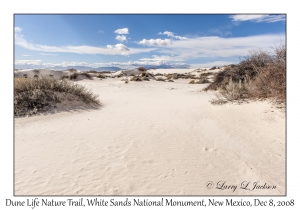 Dune Life Nature Trail