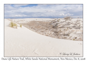 Dune Life Nature Trail