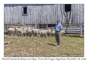 Patrick Daniels & Sheep