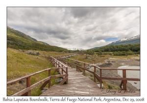 Bahia Lapataia Boardwalk