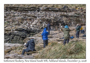 Settlement Rookery