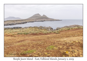 Steeple Jason Island - West