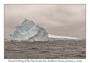 Second Iceberg of the Trip