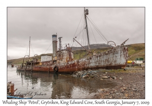 Whaling Ship 'Petrel'