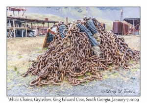 Whale Chains
