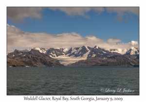 Weddell Glacier