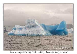 Blue Iceberg