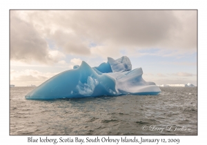 Blue Iceberg