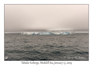 Tabular Icebergs