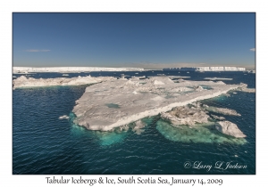 Tabular Icebergs