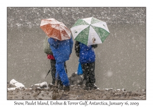 Photographers in Snow