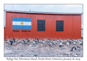 Refuge Hut