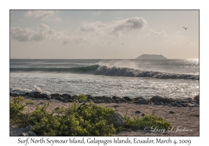 Surf