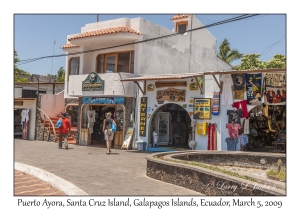 Puerto Ayora