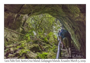 Lava Tube