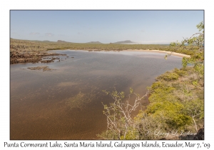 Punta Cormorant Lake