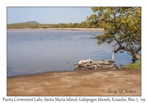 Punta Cormorant Lake