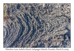 Pahoehoe Lava