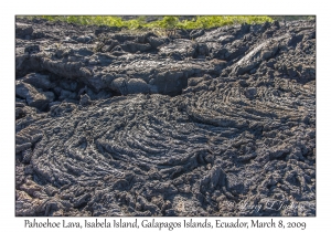 Pahoehoe Lava