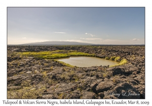 Tidepool & Volcan Sierra Negra