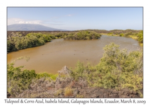 Tidepool & Cerro Azul