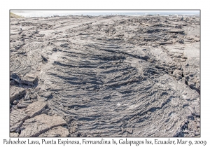 Pahoehoe Lava