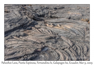 Pahoehoe Lava