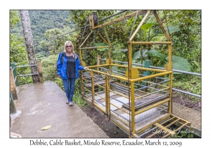 Debbie and Cable Basket