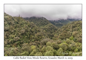 Cable Basket View