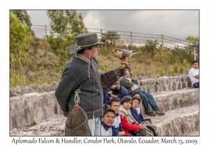 Aplomado Falcon & Handler