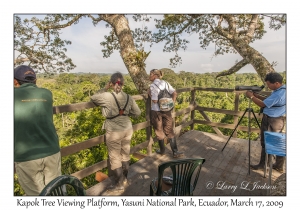 Kapok Tree Viewing Platform