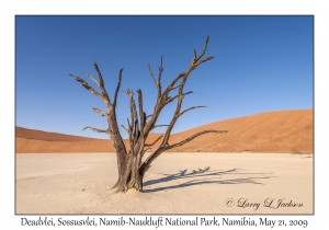 Deadvlei