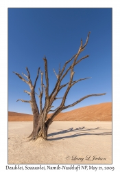 Deadvlei