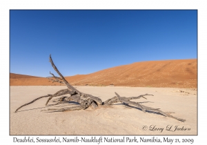 Deadvlei