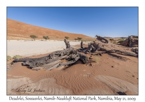 Deadvlei