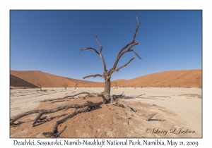 Deadvlei