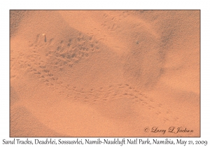 Sand Tracks