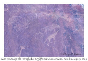 2000 to 6000 year old Petroglyphs