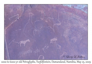 2000 to 6000 year old Petroglyphs