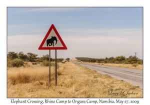 Elephant Crossing