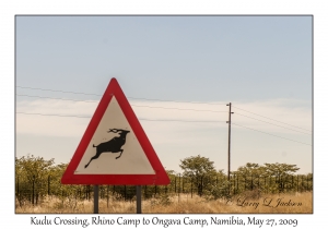 Kudu Crossing