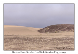Barchan Dune