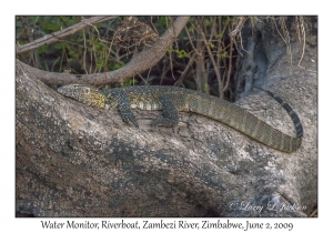 Water Monitor