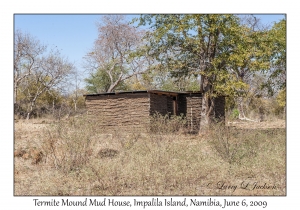 Termite Mound Mud House