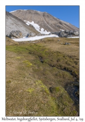 Meltwater Stream