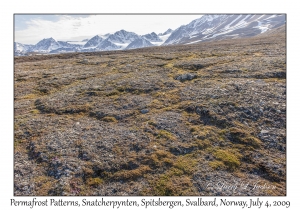 Permafrost Patterns