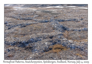 Permafrost Patterns