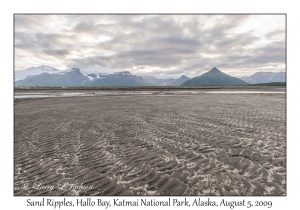 Sand Ripples